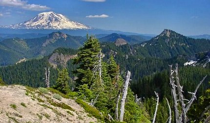 Mt Adams as seen from Badger Peak