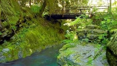 The bridge over Siouxon Creek