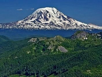 Gifford National Forest